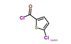 5-Chlorothiophene-2-carbonyl chloride  Rivaroxaban  CAS NO.42518-98-9