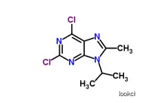 2,6-DICHLORO-9-ISOPROPYL-8-METHYL-9H-PURINE  CAS NO.1313026-86-6