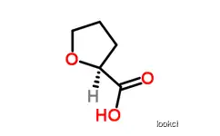 (S)-(-)-TETRAHYDROFURAN-2-CARBOXYLIC ACID  CAS NO.87392-07-2