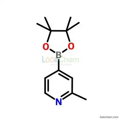 2-Methyl-4-pyridineboronic acid pinacol ester(cas 660867-80-1)