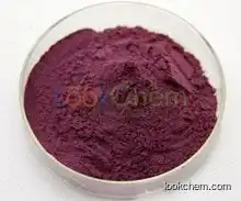 Bilberry Extract   CAS: 84082-34-8