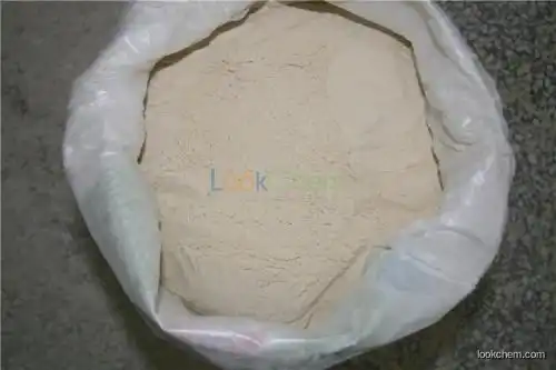 Vital Wheat Gluten CAS NO.93384-22-6
