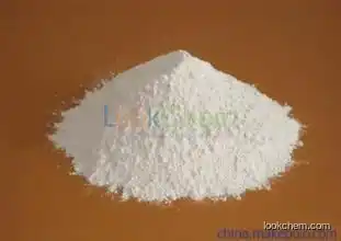 Vital Wheat Gluten CAS NO.93384-22-6