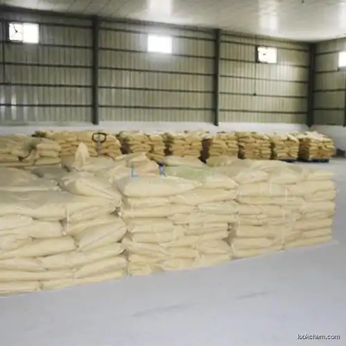 Vital Wheat Gluten CAS NO.93384-22-6
