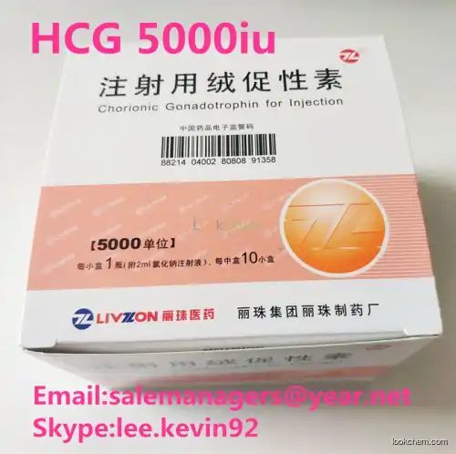 Medicine Grade Purity 99% HCG Human Chorionic Gonadotropin 5000iu*10vials