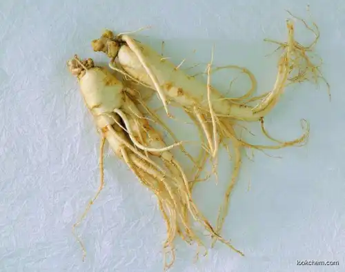 Ginseng Extract Powdet