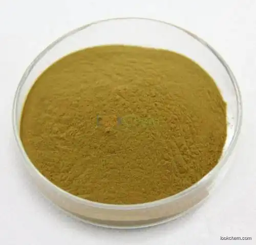 Ginger extract   CAS: 84696-15-1