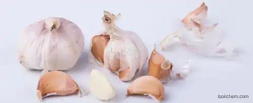 Garlic Extract Power