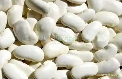 White Kidney Bean Extract