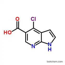 4-chloro-1H-pyrrolo[2,3-b]pyridine-5-carboxylic acid