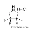 3,3,4,4-Tetrafluoropyrrolidine hydrochloride cas no 1841-00-5