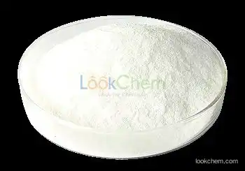 Sucrose Fatty Acid Ester Supplier