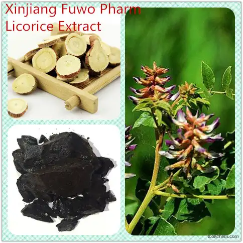 manufacturer of tan block Licorice root extract reasonable price of purchase