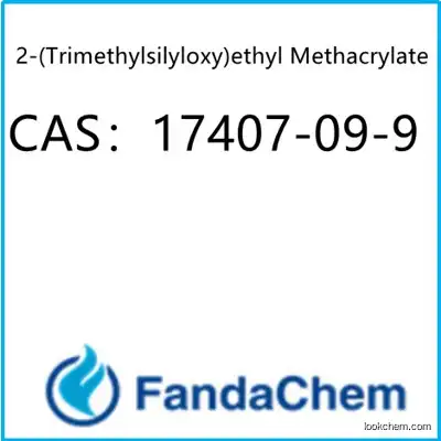 2-(Trimethylsilyloxy)ethyl Methacrylate CAS：17407-09-9 from fandachem