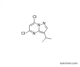 5,7-dichloro-3-isopropylpyrazolo[1,5-a]pyrimidine