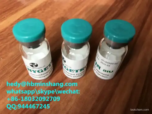 HGH somatotropin high quality 12629-01-5