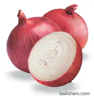 anti-inflammatory onion extract cas 117-39-5 quercetin powder