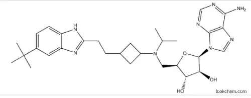 (2R,3R,4S,5R)-2-(6-aminopurin-9-yl)-5-[[[3-[2-(6-tert-butyl-1H-benzimidazol-2-yl)ethyl]cyclobutyl]-propan-2-ylamino]methyl]oxolane-3,4-diol,1380288-87-8