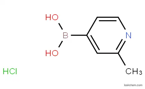High quality (2-methylpyridin-4-yl)boronic acid hydrochloride  CAS:861905-97-7  99%min