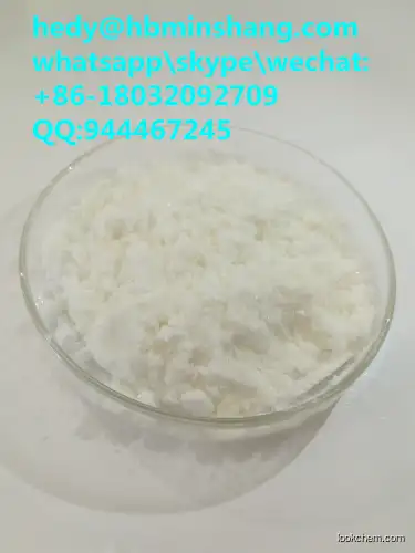 Sodium Methylate cas 124-41-4
