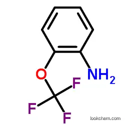 CAS:1535-75-7 2-(Trifluoromethoxy)aniline