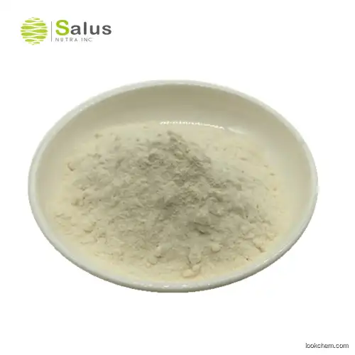 Food Grade Chitosan Powder