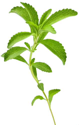 Stevia RA97 low-calorie food additive with high sales volume