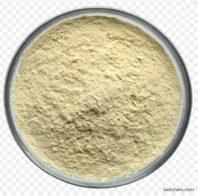 Factory Price Soy Protein Isolate CAS:9010-10-0