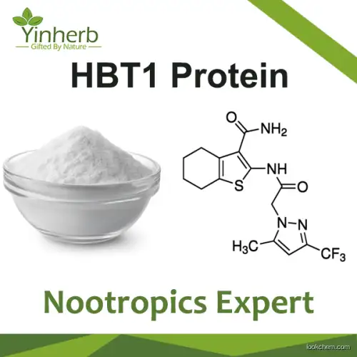 New Research nootropics HBT1 raw powder from Yinherb Lab