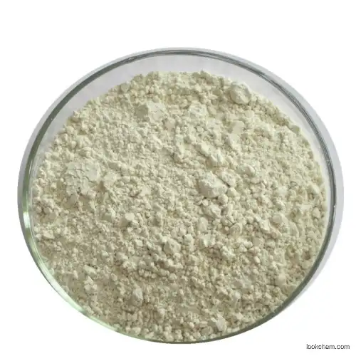 Cp/Bp Salbuta Mol Powder 99.5% CAS: 18559-94-9