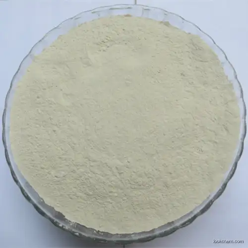 Cp/Bp Salbuta Mol Powder 99.5% CAS: 18559-94-9