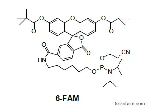 5'-Fluorescein CE Phosphoramidite (6-Fam)(204697-37-0)