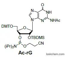 5’-DMT-2’-TBDMS-rG(N-Ac) Phosphoramidite(944138-03-8)