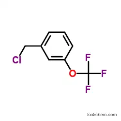 CAS:89807-43-2 1-(Chloromethyl)-3-(trifluoromethoxy)benzene