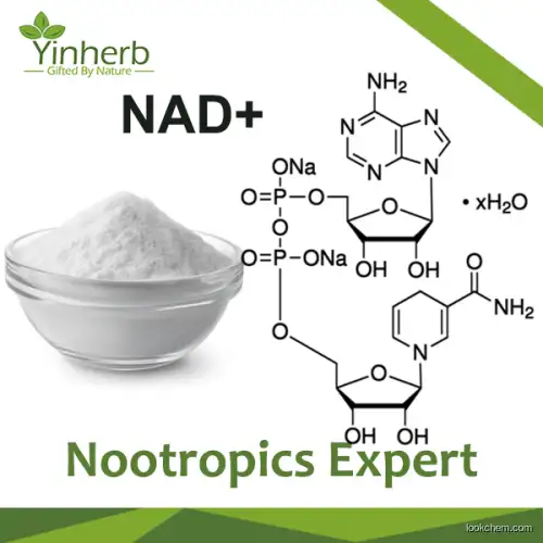 Yinherb Nad Booster CAS 53-84-9 Beta-Nicotinamide Adenine Dinucleotide Nad Powder