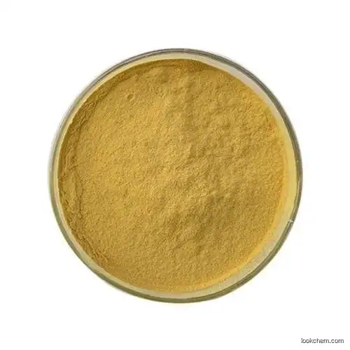 Pharmaceutical Intermediate Raw Material 4-Chloro-2-Nitrophenol Powder CAS?89-64-5