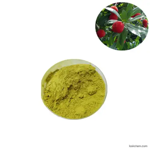 Bayberry bark extract myricetin 98%