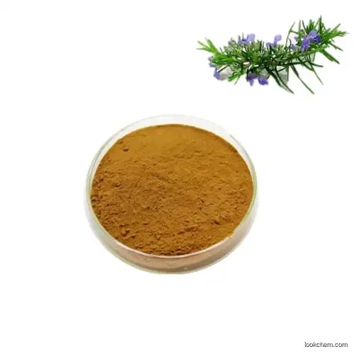 rosemary extract rosmarinic acid 20%