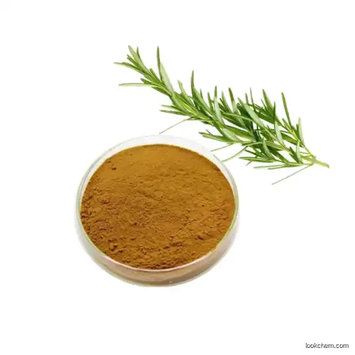 rosemary extract rosmarinic acid 20%