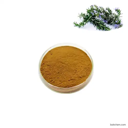 rosemary extract rosmarinic acid 20%