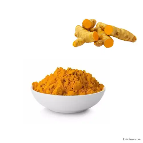 factory supply tumeric extract curcumin 95%