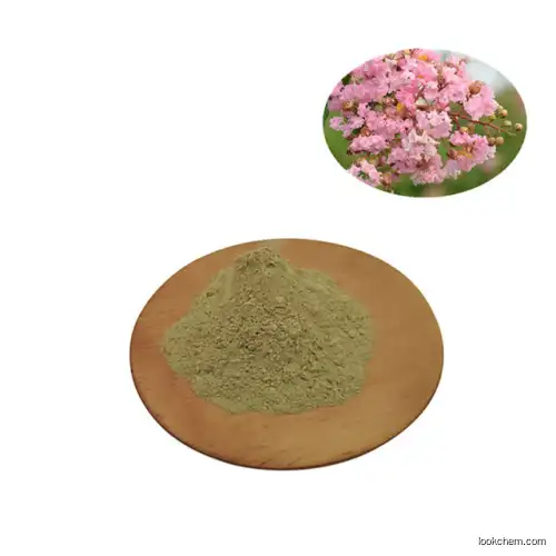 Banaba leaf extract corosolic aicd 10%(4547-24-4)