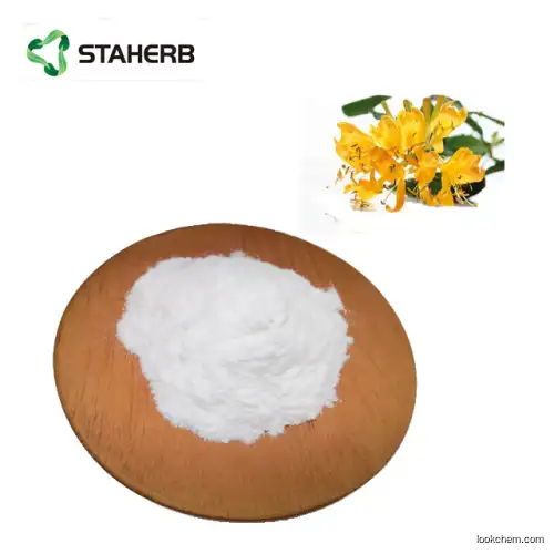 best price honeysuckle flower extract chlorogenic acid 98%