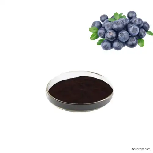 blueberry extract proanthocyanidin 25%