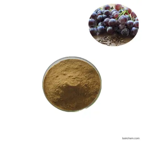 grape seed extract OPC 95%(84929-27-1)