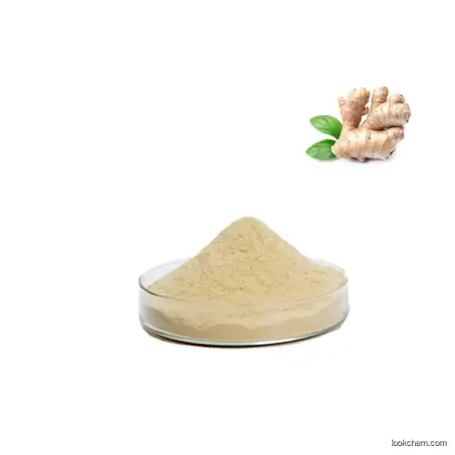 ginger extract gingerol 5%