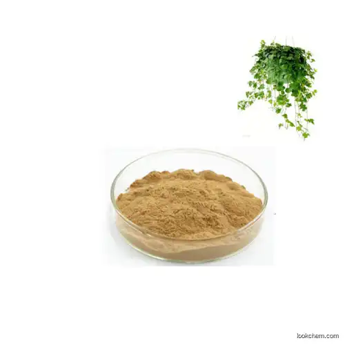ivy leaf extract Hederacoside C 10%