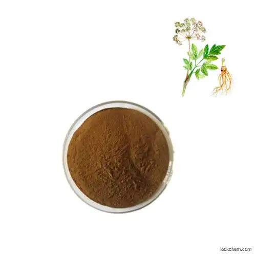 100% Natural Angelica Sinensis /Dong Quai Root Extract /Dong Quai Extract Ligustilide 1%