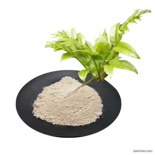 Liver protect Bayberry extract Dihydromyricetin