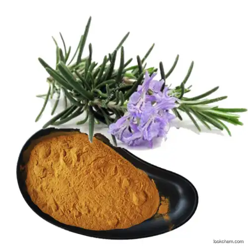 Skin care additive Rosemary extract Ursolic acid Rosmarinic acid